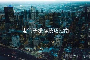电鸽子缓存技巧指南