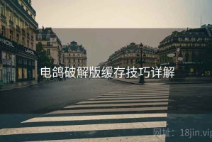 电鸽破解版缓存技巧详解