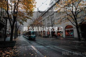 趣岛最新动态速览