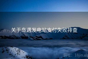 关于岛遇发电站支付失败排查