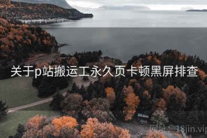关于p站搬运工永久页卡顿黑屏排查