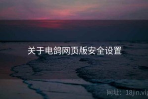 关于电鸽网页版安全设置