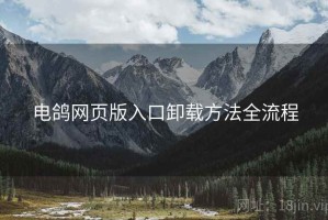 电鸽网页版入口卸载方法全流程