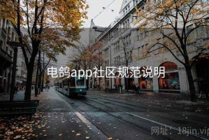 电鸽app社区规范说明