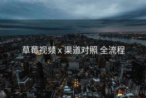 草莓视频 x 渠道对照 全流程