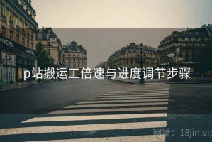 p站搬运工倍速与进度调节步骤