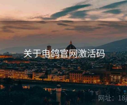 关于电鸽官网激活码