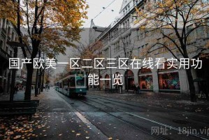 国产欧美一区二区三区在线看实用功能一览