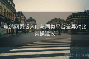 电鸽网页版入口与同类平台差异对比实操建议