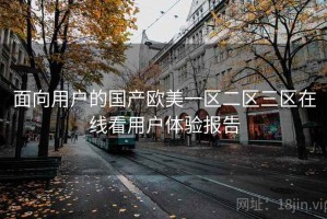 面向用户的国产欧美一区二区三区在线看用户体验报告