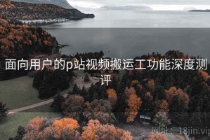 面向用户的p站视频搬运工功能深度测评