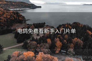 电鸽免费看新手入门片单