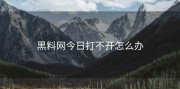 黑料网今日打不开怎么办