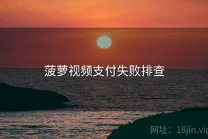 菠萝视频支付失败排查