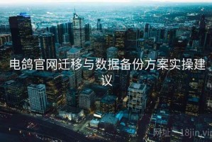 电鸽官网迁移与数据备份方案实操建议