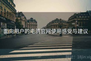 面向用户的电鸽官网使用感受与建议