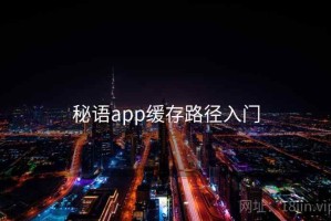 秘语app缓存路径入门