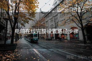 电鸽在线完整设置路径步骤