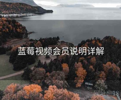 蓝莓视频会员说明详解