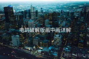 电鸽破解版画中画详解