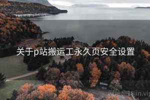 关于p站搬运工永久页安全设置