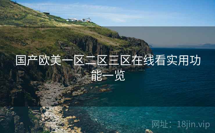 国产欧美一区二区三区在线看实用功能一览