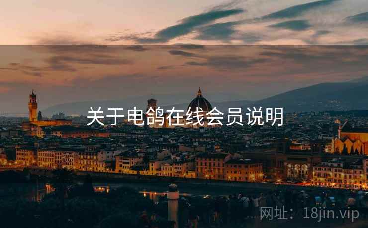 关于电鸽在线会员说明