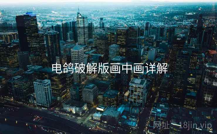 电鸽破解版画中画详解