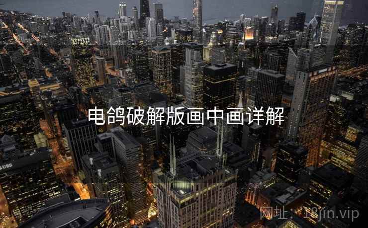 电鸽破解版画中画详解