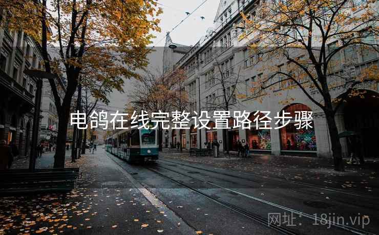 电鸽在线完整设置路径步骤