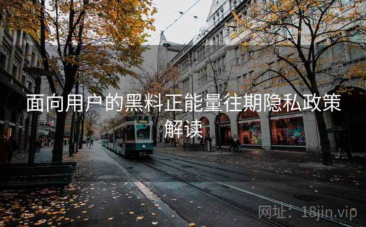 面向用户的黑料正能量往期隐私政策解读