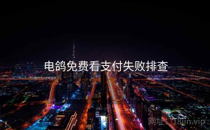 电鸽免费看支付失败排查