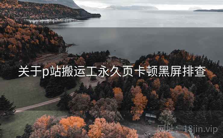 关于p站搬运工永久页卡顿黑屏排查