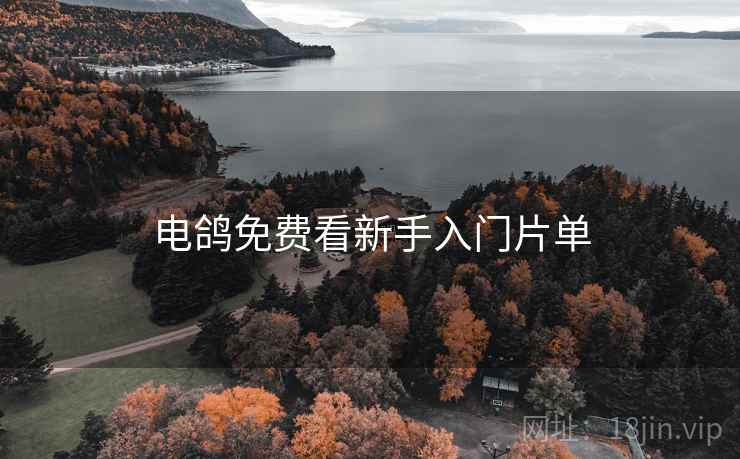 电鸽免费看新手入门片单