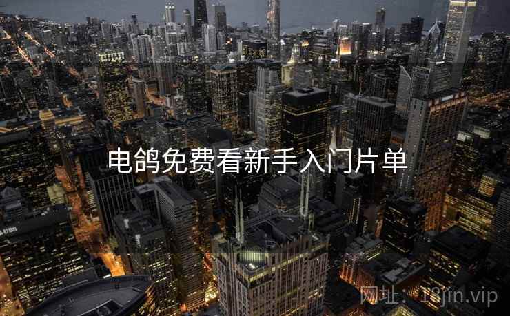 电鸽免费看新手入门片单