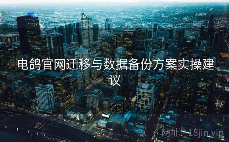 电鸽官网迁移与数据备份方案实操建议