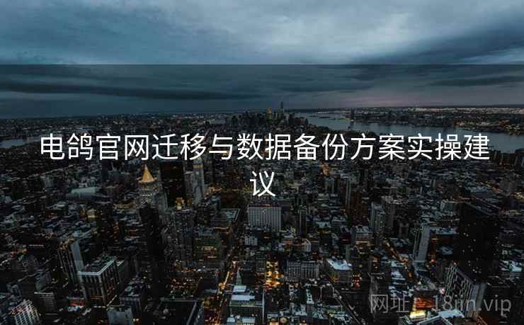 电鸽官网迁移与数据备份方案实操建议