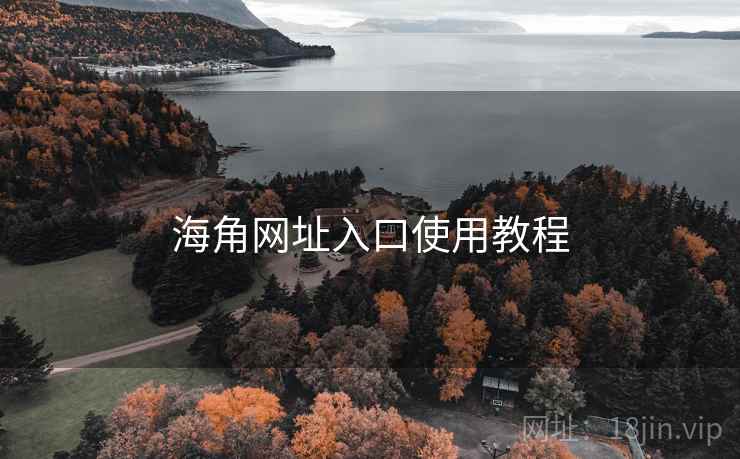 海角网址入口使用教程