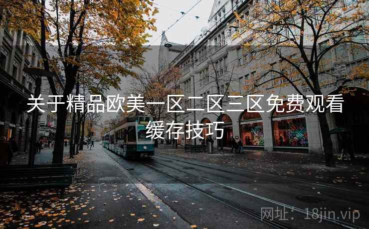 关于精品欧美一区二区三区免费观看缓存技巧