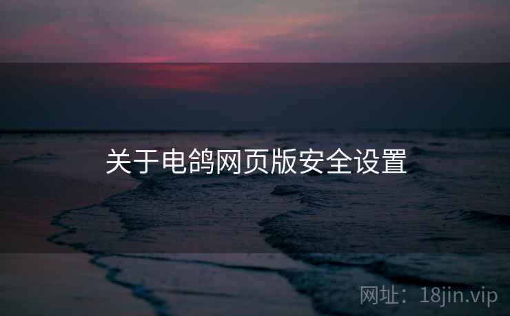 关于电鸽网页版安全设置