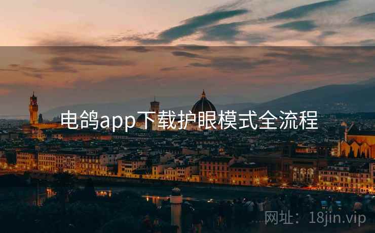 电鸽app下载护眼模式全流程