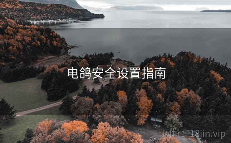 电鸽安全设置指南
