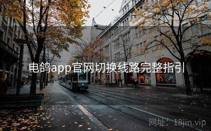 电鸽app官网切换线路完整指引