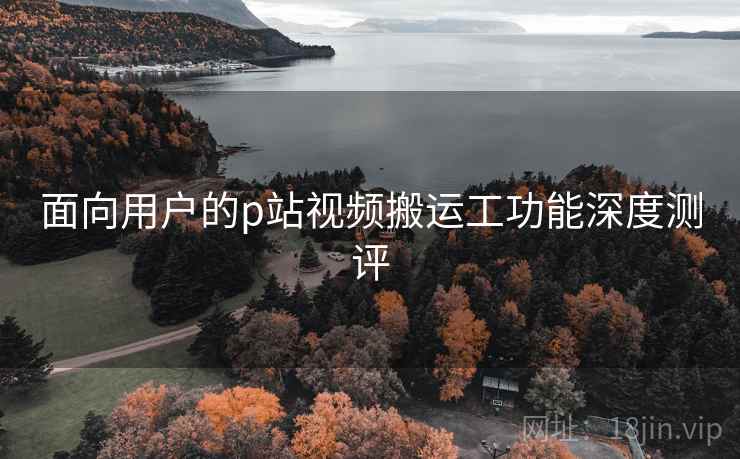 面向用户的p站视频搬运工功能深度测评