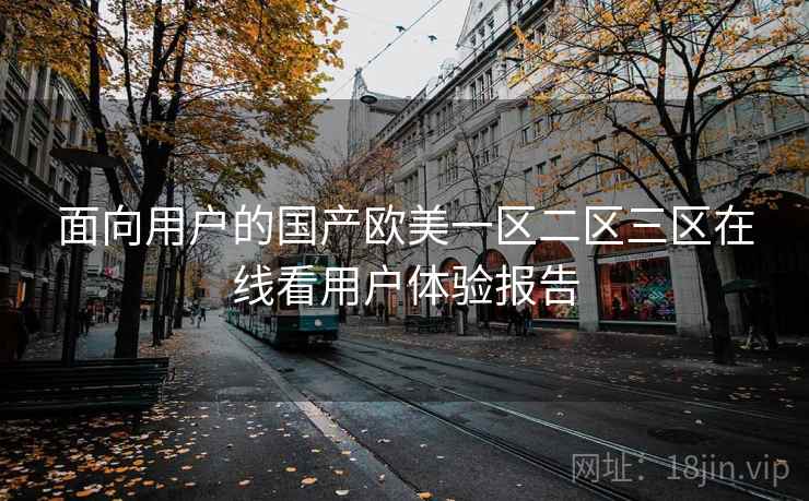 面向用户的国产欧美一区二区三区在线看用户体验报告