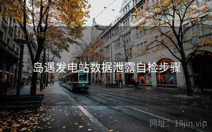 岛遇发电站数据泄露自检步骤