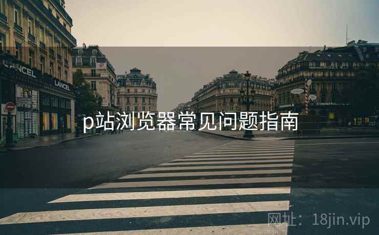 p站浏览器常见问题指南