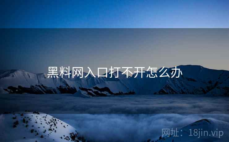 黑料网入口打不开怎么办