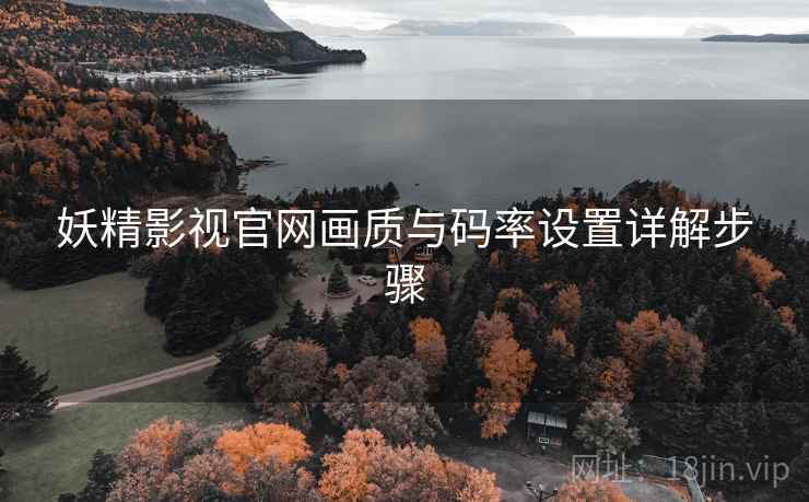 妖精影视官网画质与码率设置详解步骤