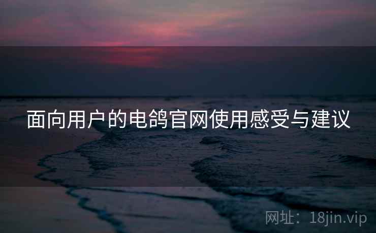 面向用户的电鸽官网使用感受与建议